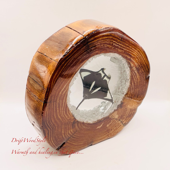 海の世界を閉じ込めた流木アート 海を泳ぐマンタ 水中ジオラマ 流木 レジンアート オブジェ アクアリウム N9 5枚目の画像