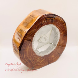 海の世界を閉じ込めた流木アート 海を泳ぐマンタ 水中ジオラマ 流木 レジンアート オブジェ アクアリウム N9 9枚目の画像