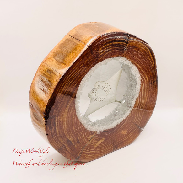 海の世界を閉じ込めた流木アート 海を泳ぐマンタ 水中ジオラマ 流木 レジンアート オブジェ アクアリウム N9 9枚目の画像