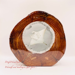 海の世界を閉じ込めた流木アート 海を泳ぐマンタ 水中ジオラマ 流木 レジンアート オブジェ アクアリウム N9 6枚目の画像