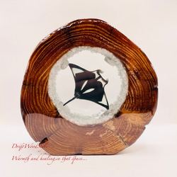 海の世界を閉じ込めた流木アート 海を泳ぐマンタ 水中ジオラマ 流木 レジンアート オブジェ アクアリウム N9 1枚目の画像