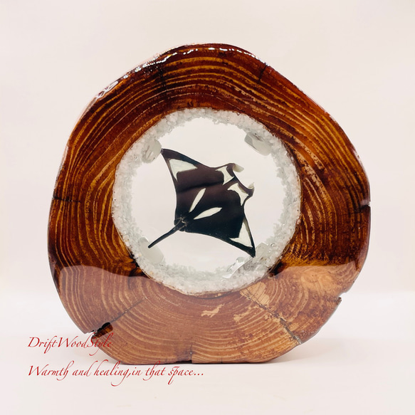 海の世界を閉じ込めた流木アート 海を泳ぐマンタ 水中ジオラマ 流木 レジンアート オブジェ アクアリウム N9 1枚目の画像