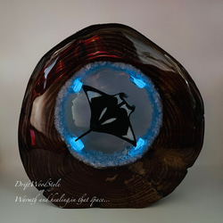 海の世界を閉じ込めた流木アート 海を泳ぐマンタ 水中ジオラマ 流木 レジンアート オブジェ アクアリウム N9 2枚目の画像