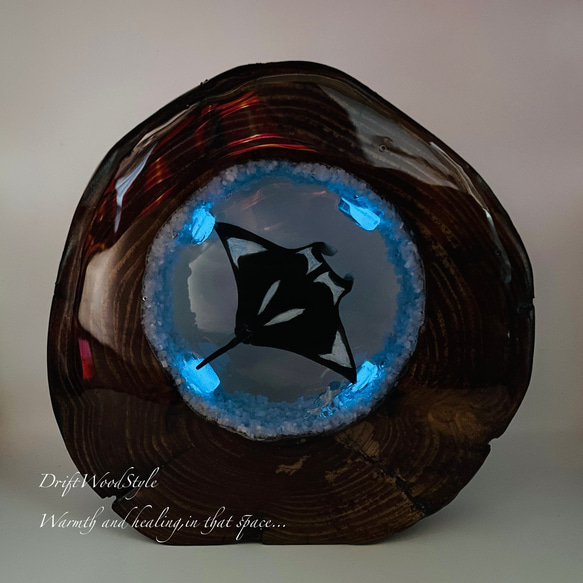 海の世界を閉じ込めた流木アート 海を泳ぐマンタ 水中ジオラマ 流木 レジンアート オブジェ アクアリウム N9 2枚目の画像