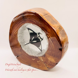 海の世界を閉じ込めた流木アート 海を泳ぐマンタ 水中ジオラマ 流木 レジンアート オブジェ アクアリウム N9 4枚目の画像