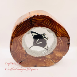 海の世界を閉じ込めた流木アート 海を泳ぐマンタ 水中ジオラマ 流木 レジンアート オブジェ アクアリウム N9 3枚目の画像