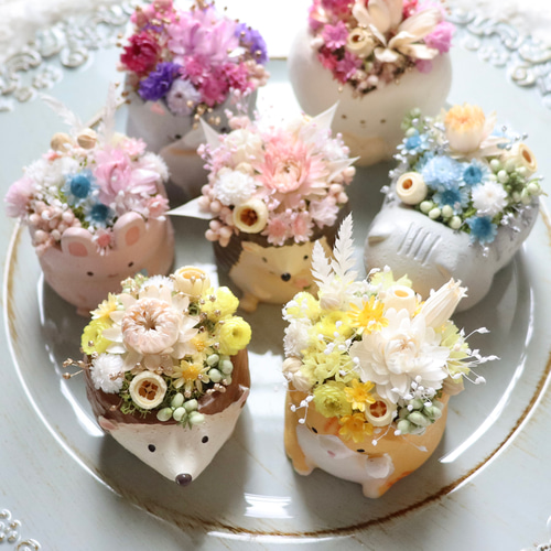 アニマルフラワー 動物アレンジ ねこ うさぎ ハリネズミ ドライ