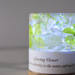 【完成品】光るハーバリウム　Glowing Flower　ライトグリーン 2枚目の画像