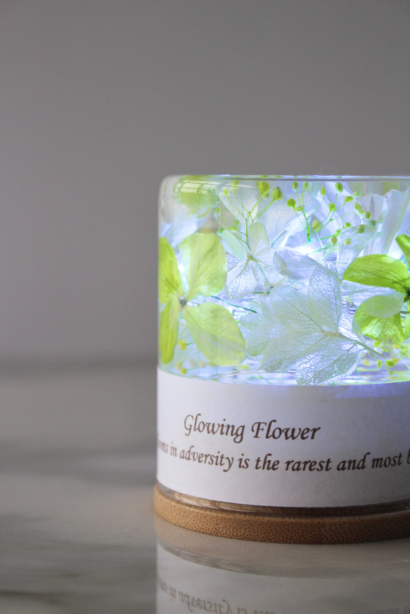 【完成品】光るハーバリウム　Glowing Flower　ライトグリーン 2枚目の画像