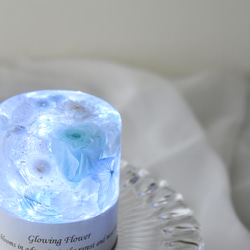 【完成品】光るハーバリウム　Glowing Flower　水色　ライトブルー 3枚目の画像