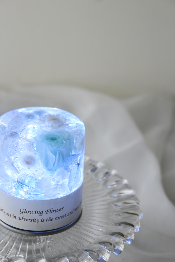 【完成品】光るハーバリウム　Glowing Flower　水色　ライトブルー 3枚目の画像