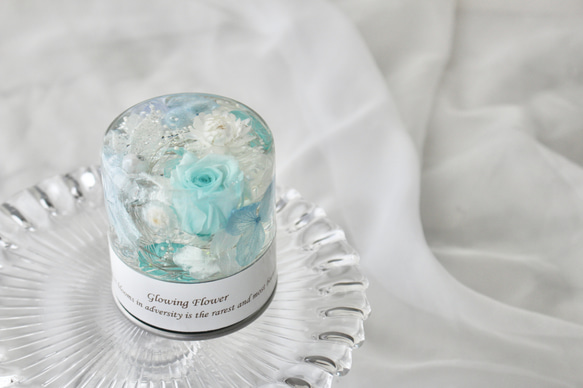【完成品】光るハーバリウム　Glowing Flower　水色　ライトブルー 5枚目の画像