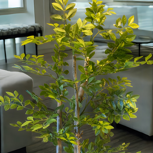 光触媒 人工観葉植物 ウォールグリーン フェイクグリーン ゴールデン