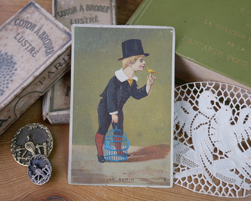 フランスアンティーククロモカード(LE SERIN) その他素材 cherir