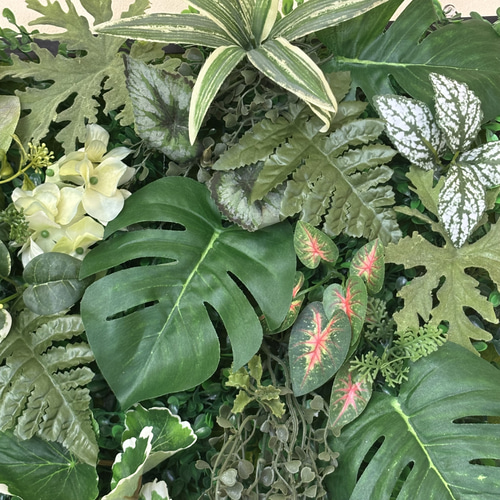 光触媒加工ウォールグリーンフェイクグリーン壁掛け♡2枚組A♡