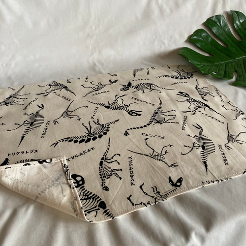ランチョンマット×2枚セット(35×45㎝)☆恐竜カタカナティラノサウルス