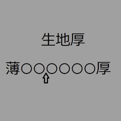 ～Seriesチュニック…綿麻シーチング生地～ 7枚目の画像