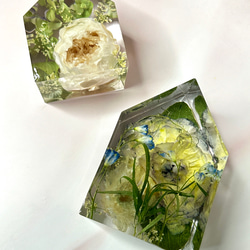 光触媒 人工観葉植物 ウォールグリーン フェイクグリーン フレッシュ