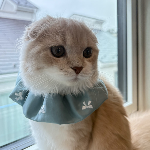 刺繍リボンスタイ】猫スタイ ペットスタイ 猫ちゃんスタイ ペット用品