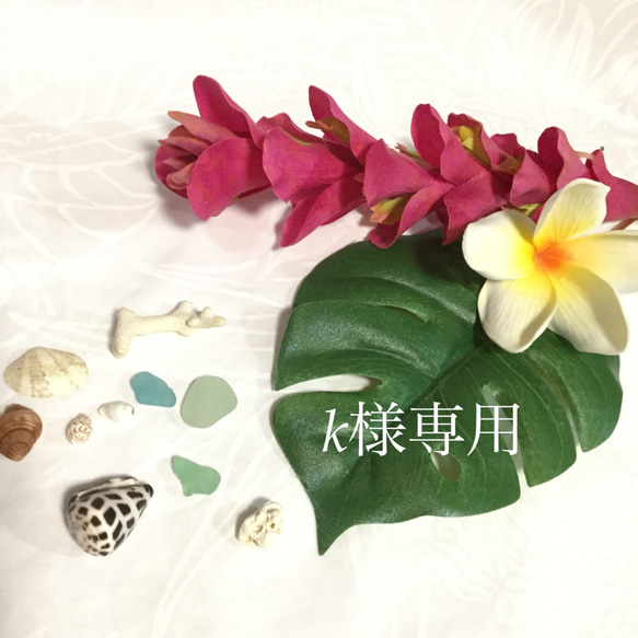  第1張的照片