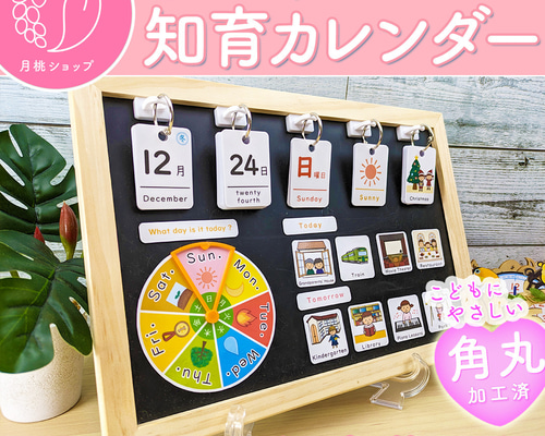 英語シンプル】前向き日めくりカレンダー 知育 視覚支援 保育教材