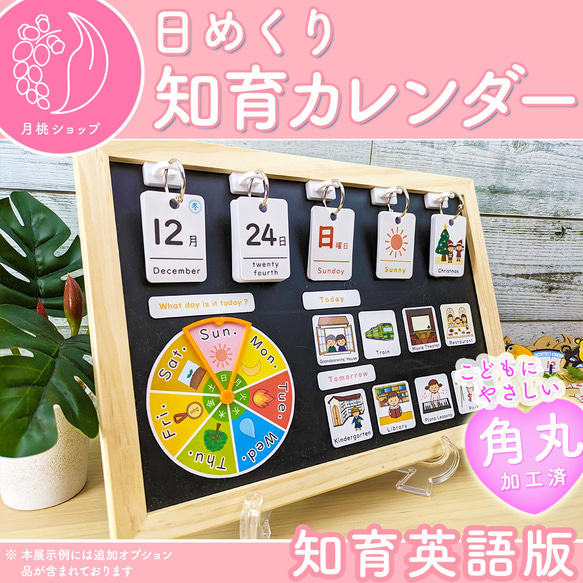 英語シンプル】前向き日めくりカレンダー 知育 視覚支援 保育教材