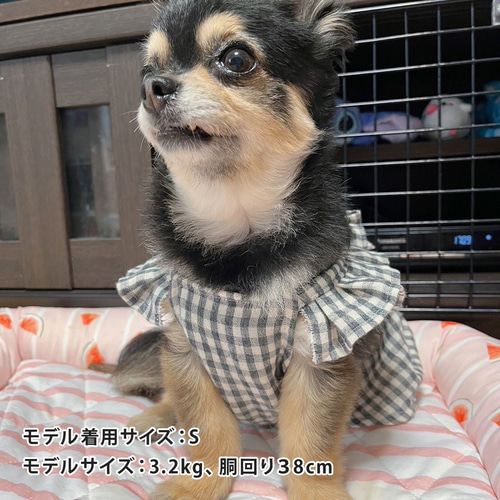 犬服＊ シャーリングワンピース【yuwawa】 ペット服・アクセサリー