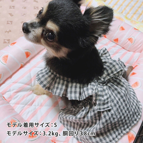 犬服＊ シャーリングワンピース【yuwawa】 ペット服・アクセサリー