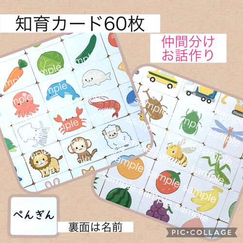 知育カード60枚 仲間分け ひらがなカード モンテッソーリ 絵カード