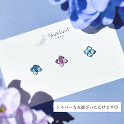  第10張的照片