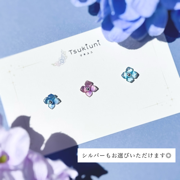  第10張的照片