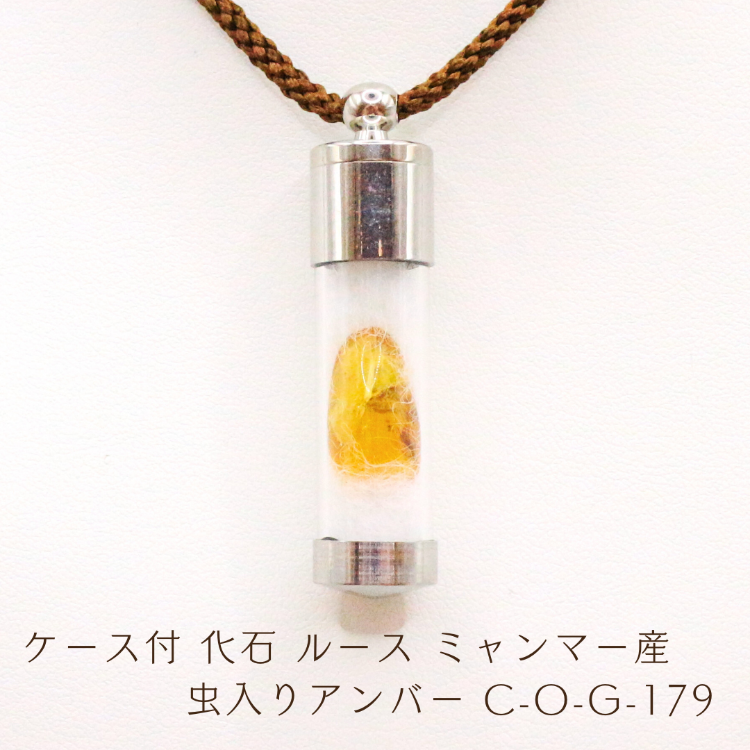 ケース付 化石 ルース ミャンマー産 虫入りアンバー C-O-G-179