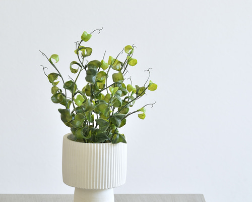 97337e3f77a92057dc28ff2ff0b2e2