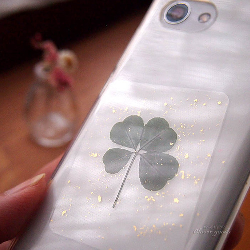 変色しにくい四つ葉のクローバー本物1枚☆きらきら☆ラミネートカード