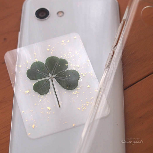 変色しにくい四つ葉のクローバー本物1枚☆きらきら☆ラミネートカード