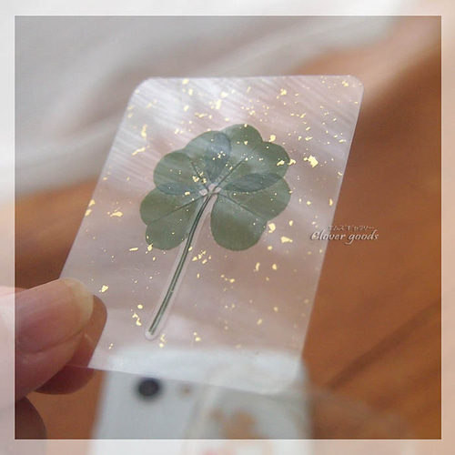 変色しにくい四つ葉のクローバー本物1枚☆きらきら☆ラミネートカード