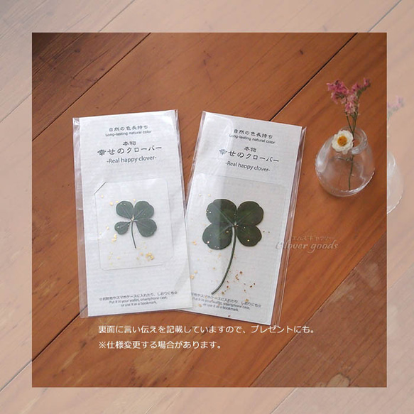  第6張的照片