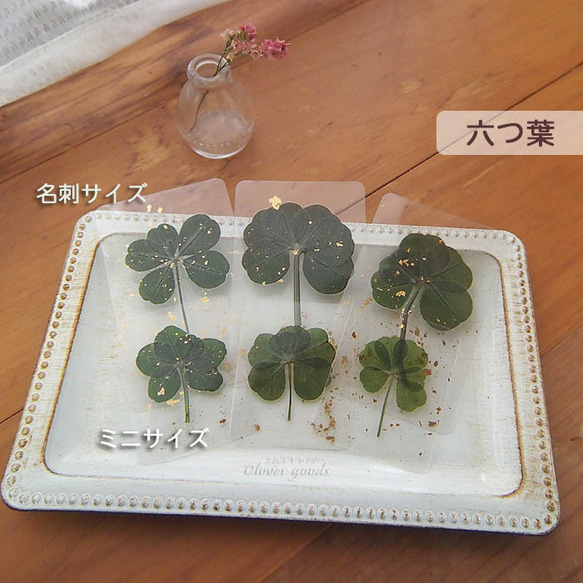 第4張的照片