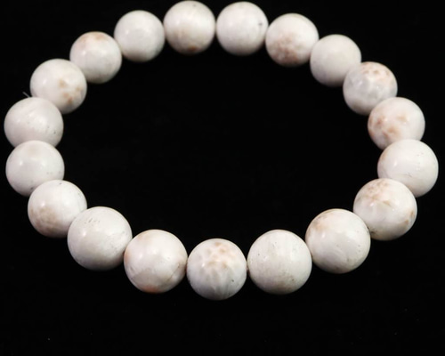 b55b5d869a1aec6cc20044c08b9aa1