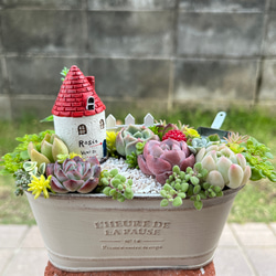 ♡そのまま飾れる♡ヨーロピアンガーデンの箱庭風♬多肉植物寄せ植え♡ ♡そのまま飾れる♡ヨーロピアンガーデンの箱庭風♬可愛い多肉植物寄せ