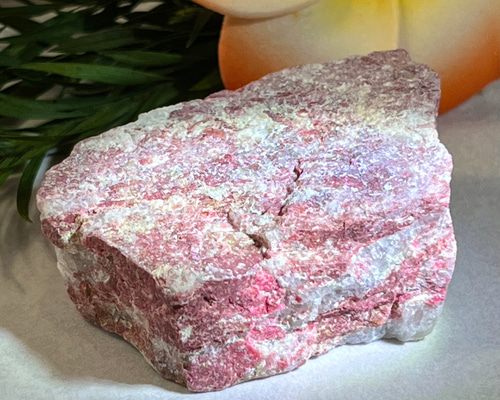 53009afeedab67faae9cc75e9db34f