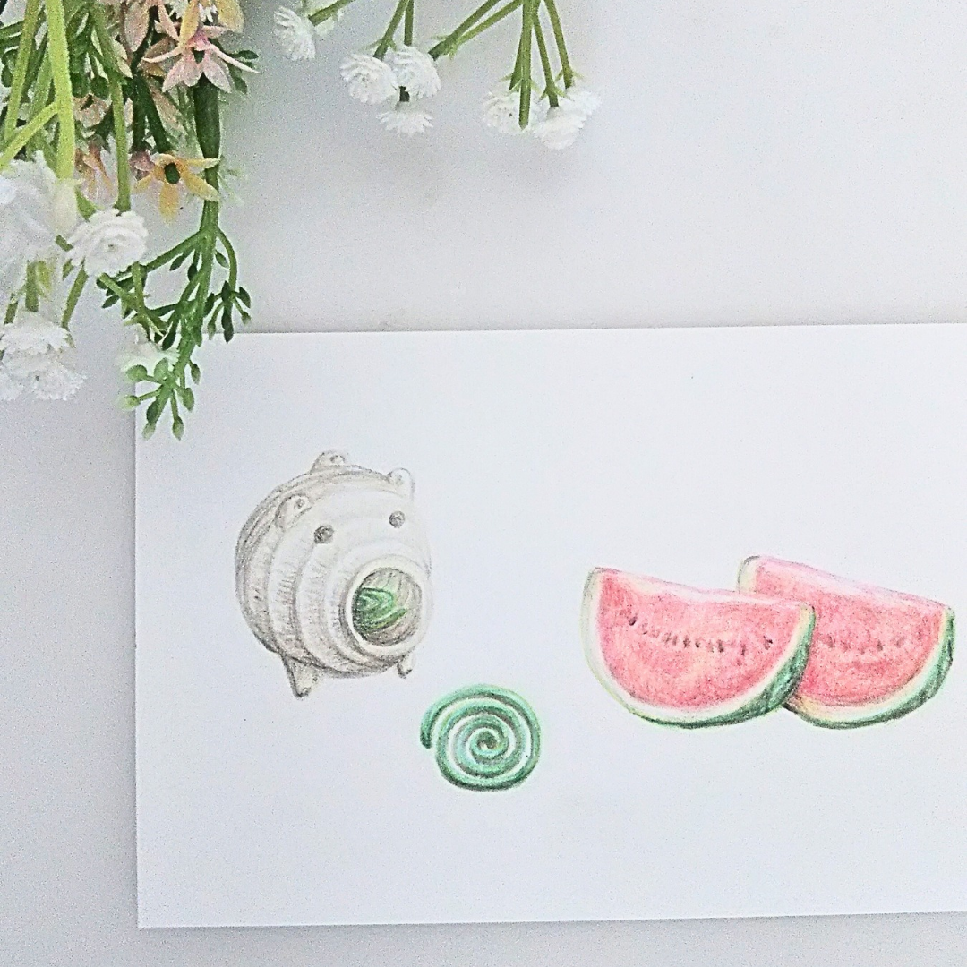植木スイカ　色鉛筆画　はがきサイズ原画 植木スイカ 色鉛筆画 はがきサイズ原画 植木スイカ 色鉛筆画 はがき
