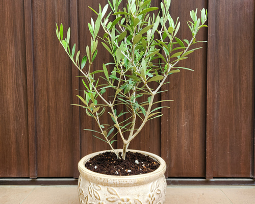 cad8eceae44fd3cfffcf855b76e073