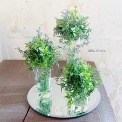 SALE】シンボルツリーにも♡常緑エニシダの春らしい寄せ植え 多肉植物