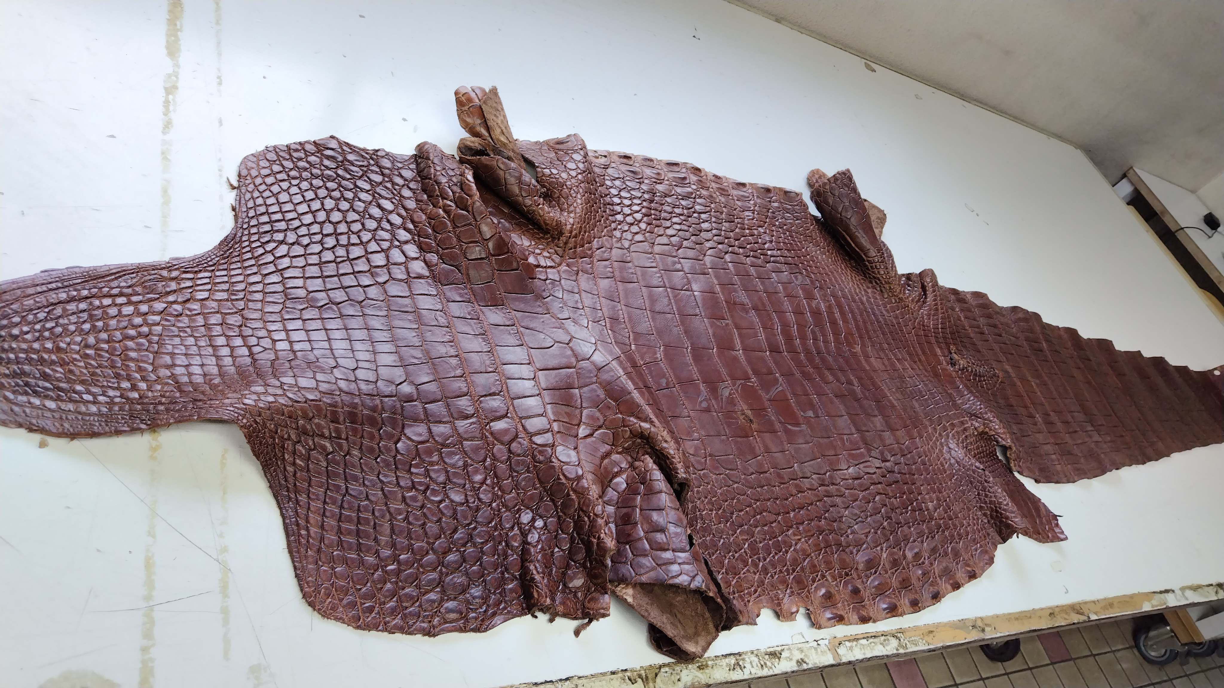 ワニ革　ブラウン系　厚さ1.8から2.0ミリ