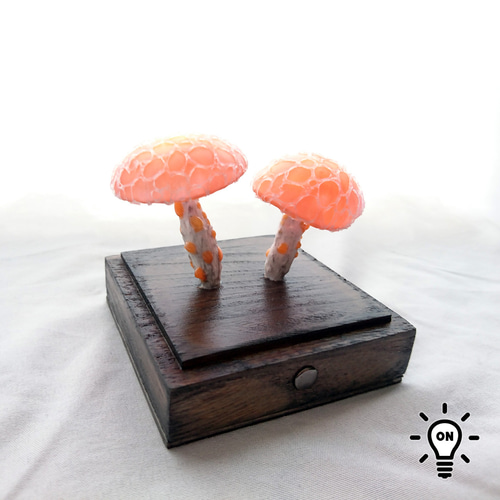 ホシアンズタケのランプ 立体・オブジェ Darwin 通販 19374558｜Creema