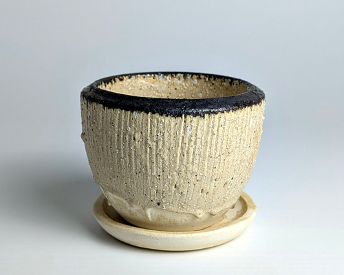 植木鉢 陶器 信楽焼【コサギポットS ホワイト】観葉植物 塊根植物 多肉