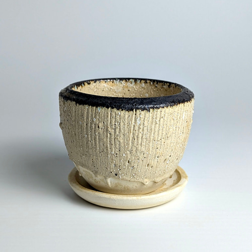 植木鉢 陶器 信楽焼【コサギポットS ホワイト】観葉植物 塊根植物 多肉