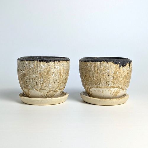 植木鉢 陶器 信楽焼【コサギポットS ホワイト】観葉植物 塊根植物 多肉