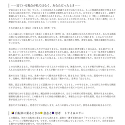 【解説書】ニルス論 -すべての関係性-　（ニスルハームの解説） 6枚目の画像